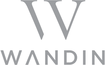 Wandin Master Logo Grey RGB.png
